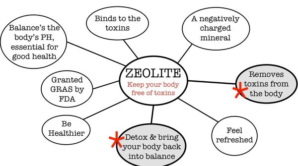 how zeolites work