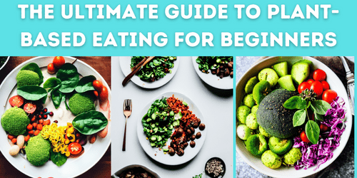 The Ultimate Guide To Plant-Based Eating For Beginners