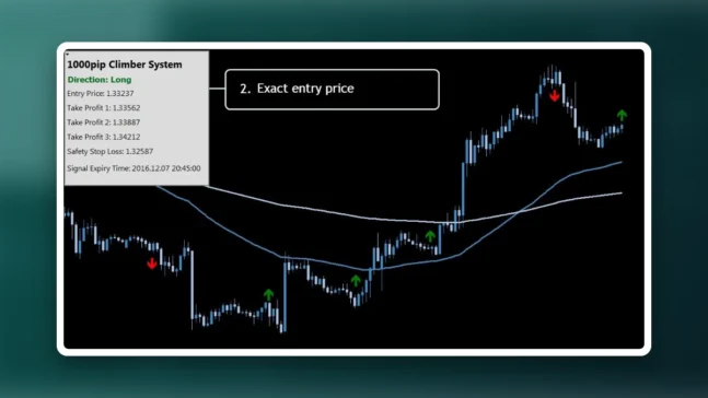 Read more about the article 1000pip Climber Forex System Review
