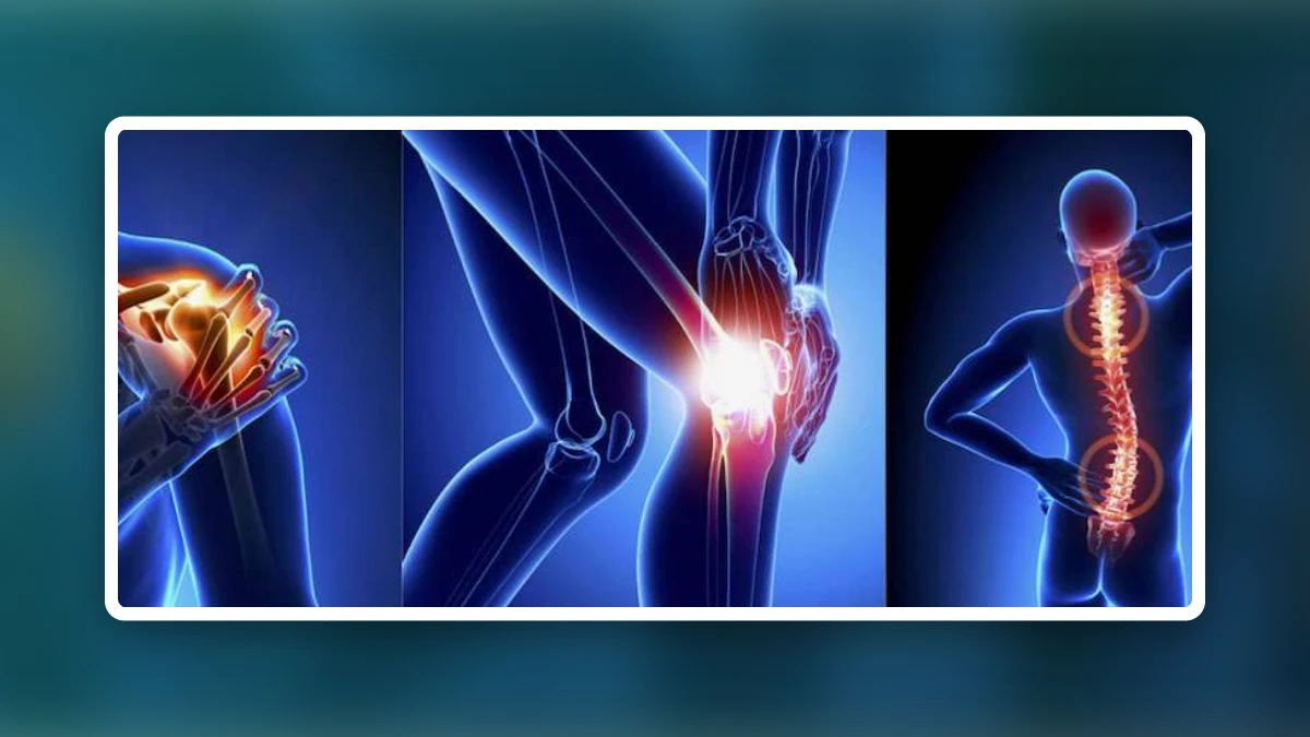 Joint Pain Review