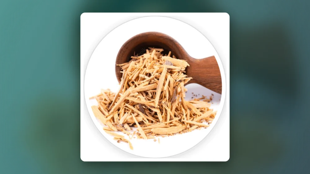 Quietum Plus Review